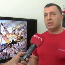Diyarbakır’da bulunan yeni çekirge türünün ismi belli oldu