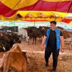 Milli güreşçi Rıza Kayaalp, TDV'nin Pakistan'daki kurban organizasyonuna katıldı