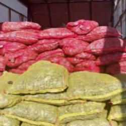 Sakarya’da 5,4 ton kaçak midye ele geçirildi: Değeri 3 milyon TL…