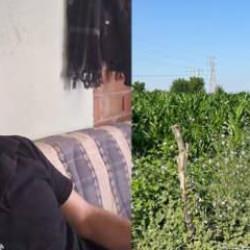 Tarlada korkunç cinayet: Sulama yaparken akrabası tarafından öldürüldü 