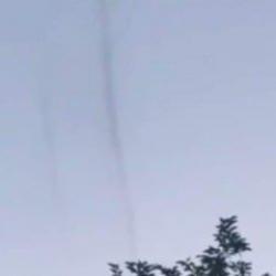 Tekirdağ'da korkutan manzara: 'Sinek hortumları' ortaya çıktı! İstila ettiler...