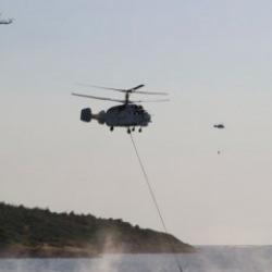 İzmir'in Aliağa ilçesinde orman yangını!