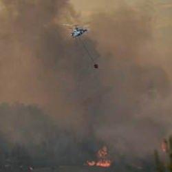 Jandarma: Orman yangınlarına ilişkin 11 gözaltı