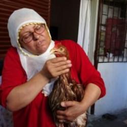 Tavuğunu kesmeye kıyamayan kadın: 'Hayatımda böyle ağlayan bir tavuk görmedim'