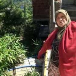Kalem yapımı için dikilen bitki kâbusları oldu: 'Birkaç sene sonra köy kapanır'