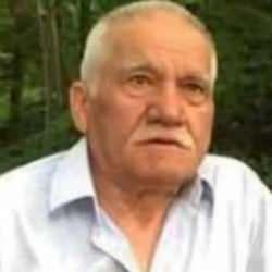 Giresun’da bir çiftçi arı sokması sonucu öldü