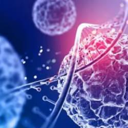 37 bin yıllık DNA'dan şok bulgular: Salgın hastalıkların nereden geldiği ortaya çıktı