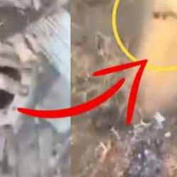 Borunun içine saklanması da kurtarmadı! Askerin drone ile vurulduğu anlar!