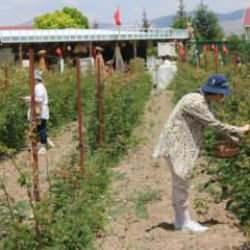 Hobi olarak başladığı işte talebe yetişemiyor