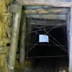 Zonguldak'ta 5 kaçak ocak imha edildi