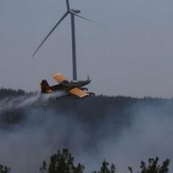Bakanlıktan, Çanakkale'de yangında yanan ormanlık alanla ilgili açıklama geldi!