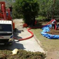 Fındıkta patoz mesaisi başladı: Saatlik ücreti duyan inanamadı