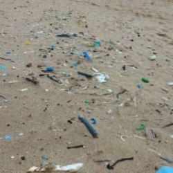 Karadeniz kıyılarının deniz çöpü haritası çıkarıldı