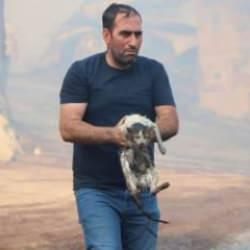 Günün kahramanı: Yangınların arasına dalıp kediyi kurtardı