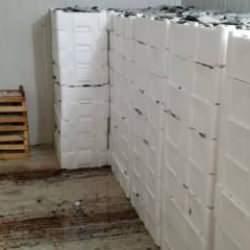 Yer: Bursa! Avladıkları yüzlerce kilo balığın sevinci kursaklarında kaldı