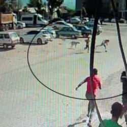 Hatay'da başıboş köpeklerden kaçan iki çocuğun o anları kameraya yansıdı