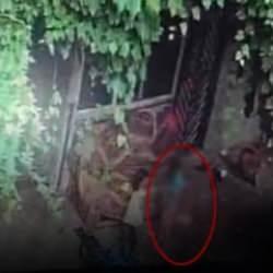 Samsun'da acı olay! Salıncak ipini boynuna dolayan 3 yaşındaki çocuk öldü