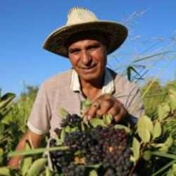 Yok böyle vefa! Eşini kanserden kaybeden Mehmet amca, yaptığıyla hayır duası topluyor