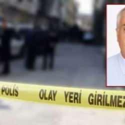 Samsun'da arının soktuğu adam direksiyon başında ölü bulundu 