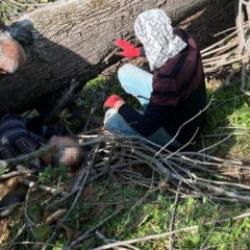 Sakarya'da korkunç kaza! Kestiği ağaç sonu oldu