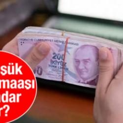 En düşük emekli maaşı ne kadar olacak 2026?