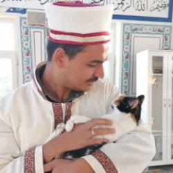 Kedileri leğende yıkayan imam hayvan sevgisiyle örnek oluyor