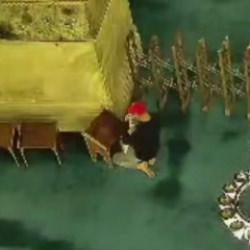 Ayasofya Camii'nde yangın çıkarmaya çalışan şüpheli için kritik talep