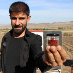 Dünyanın en pahalı baharatı! 'Kırmızı altının' 1 gramı 500 TL'den satılıyor