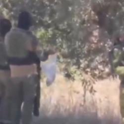 İsrail askerleri Batı Şeria'daki zeytin ağaçlarına göz dikti: Hırsızlık kameralara yansıdı