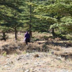 Köylünün yüzünü güldüren ürüne 4 milyon liralık fatura kesildi