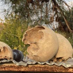 Tüyler ürperten olay! Gerçek ortaya çıktı