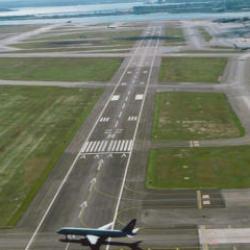 Havalimanında ayı krizi! Japonya'da uçuşlar durduruldu