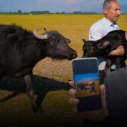 Dünya ikincisi oldu! 10 bin dolarlık ödül sevinci kursağında kaldı