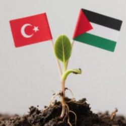 İmam hatipliler şehitlerimiz için fidan dikiyor  