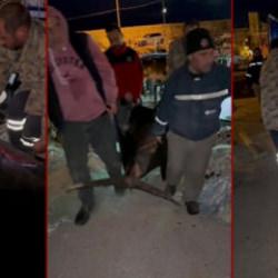 Yakaladığı kılıç balığını 4 kişi zor taşıdı! Kilosuna inanmak güç