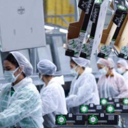 36 yıllık meyve-sebze devinden kötü haber! Konkordato ilan etti