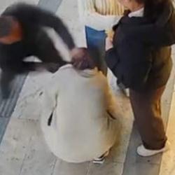 Yer: Gümüşhane! Sokak ortasında bıçaklı saldırıya uğrayan kadını esnaf kurtardı