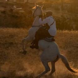 Kırıkkale'de korkunç son: At binmek isterken feci şekilde can verdi