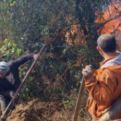 Artvin’de örtü yangını ormana yayıldı