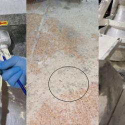 Fırına giren ekipler şoke oldu: Mide bulandıran görüntü! Böcek çeşidi saymakla bitmedi