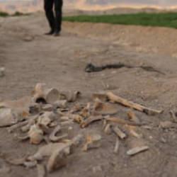 Suriye'de kan donduran manzara! İç savaşın korkunç yüzü görüntülendi