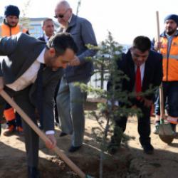 Konya'da anlamlı etkinlik: Özel öğrenciler fidan dikti