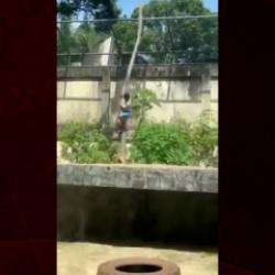 Hayvanat bahçesindeki korkunç anlar: Aslanın bulduğu kafese girdi