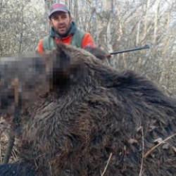 Elazığ'da sürü halinde avladılar! Cüsseleri korkutucu büyüklükte