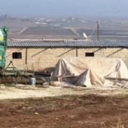 Pes dedirten düzenek: Kaçak elektrikle her ay bin çeyrek altın kazanmışlar!