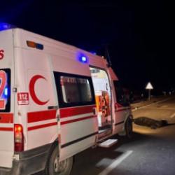 Uşak'ta feci kaza: Otomobilin çarptığı 3 kişi hayatını kaybetti