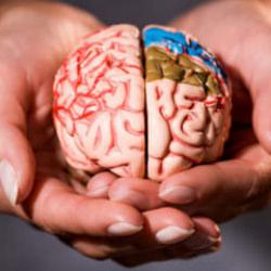 Beyninizi 8 yıl birden gençleştiriyor! Şartlara sahip olanlar yaşadı