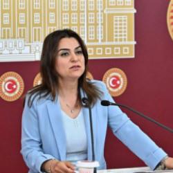 DEM'li Koçyiğit: 'Silahların susması bir sonuç değil, başlangıçtır' 