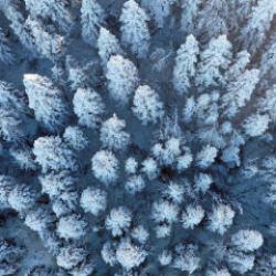 Küre Dağları’nda kartpostallık kış manzaraları