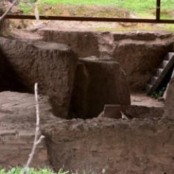 Tarla gece gündüz korunuyor! Bilinen tek örnek gün yüzüne çıkarıldı 